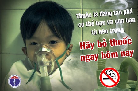 Во Вьетнаме ежегодно от курения умирают более 40 тысяч человек - ảnh 1